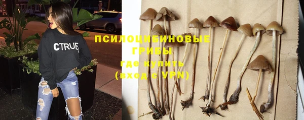 ешки Абаза