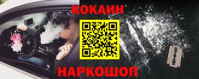 мдпв Шелехов