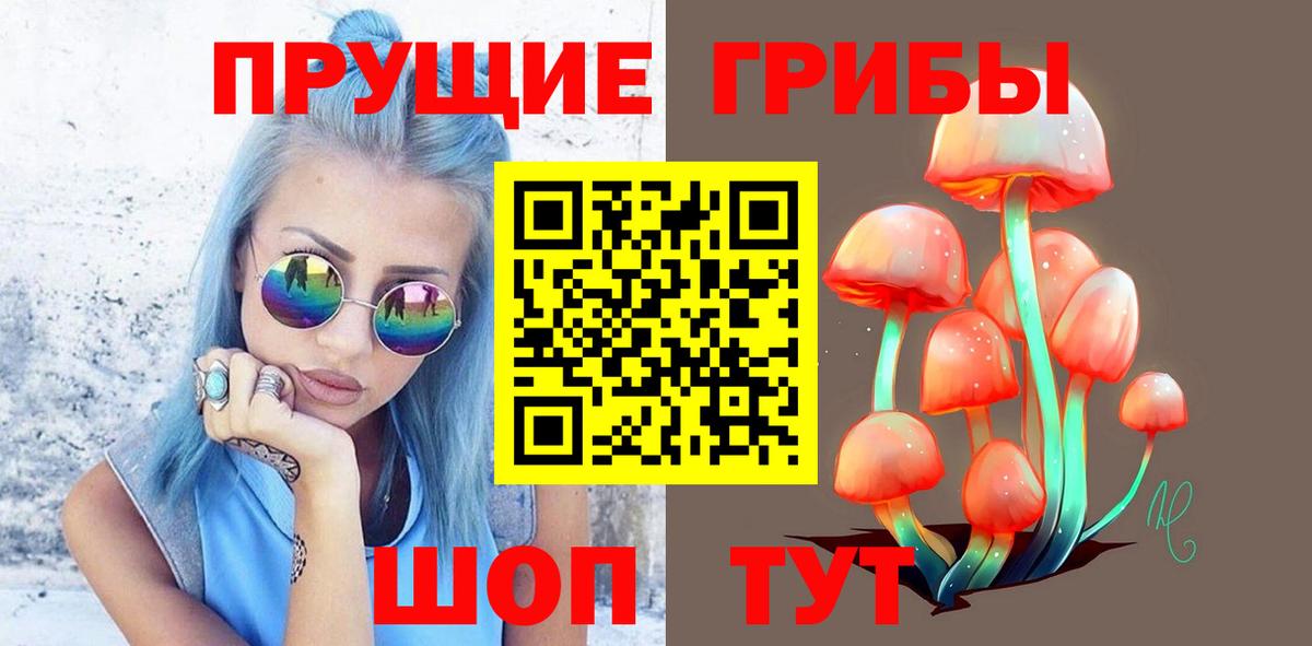 Александров  Псилоцибиновые грибы MAGIC MUSHROOMS  Вход с VPN 