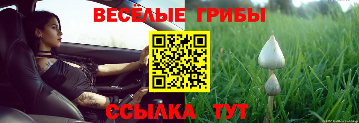 Псилоцибиновые грибы MAGIC MUSHROOMS Александров